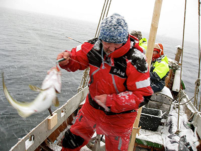 Ulf i hardt vær i Lofoten.